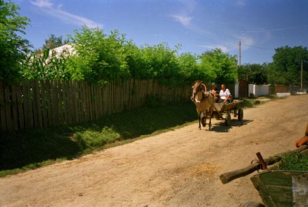 moldvai szekér